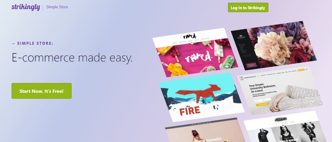 strikingly social feed strikingly social feed